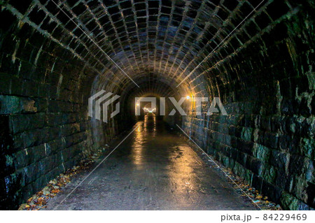 旧天城トンネル 84229469