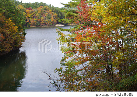 聖湖湖畔の紅葉の景色 聖湖湖畔の紅葉の景色 84229689