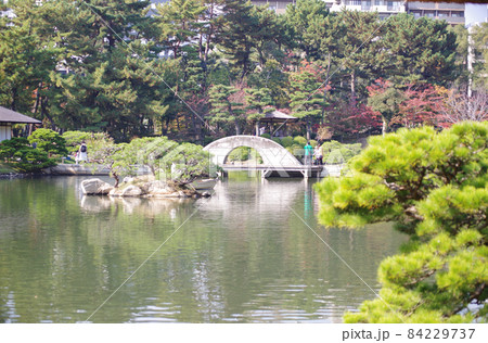 紅葉盛りの縮景園の景色 84229737