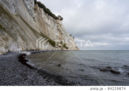 Beautiful chalk cliffs at Mons Klint in Denmark Beautiful chalk cliffs at Mons Klint in Denmark 84229874