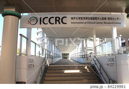 神戸大学医学部付属国際がん医療研究センター 84229961