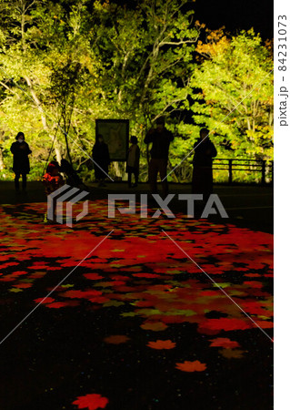 層雲峡の軌跡 84231073