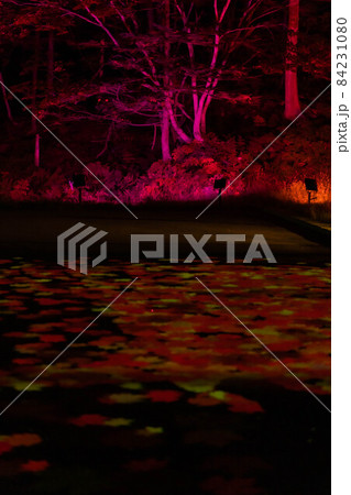 層雲峡の軌跡 84231080