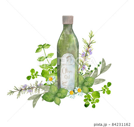 オリーブオイルとハーブの水彩画 84231162