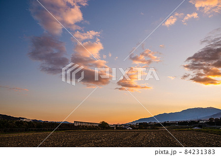 夕暮れの田園風景　 84231383