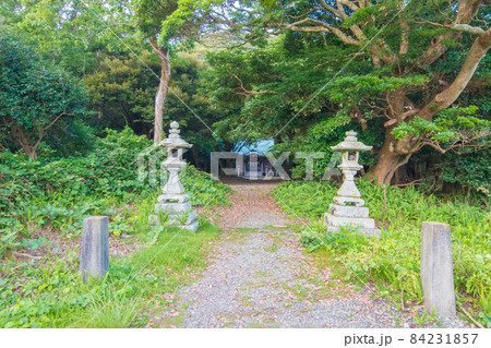 佐伯市蒲江の江武戸神社の灯篭と本殿 84231857
