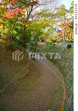 岡崎城　清海堀石垣　秋　岡崎市 84233159