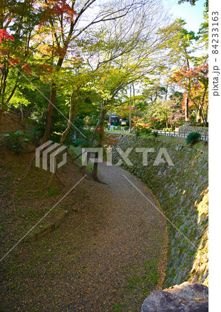 岡崎城　清海堀石垣　秋　岡崎市 84233163