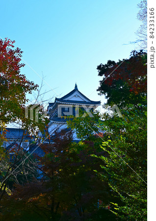 岡崎城 天守 紅葉 岡崎市 岡崎城 天守 紅葉 岡崎市 84233166