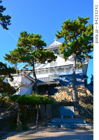 岡崎城　天守 84233241