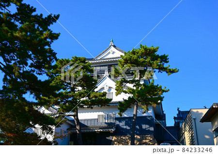 岡崎城　天守　岡崎市 84233246