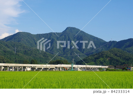 日野山と麓の北陸新幹線 福井県越前市 日野山と麓の北陸新幹線 福井県越前市 84233314