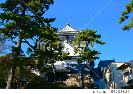岡崎城 天守 岡崎市 岡崎城 天守 岡崎市 84233327