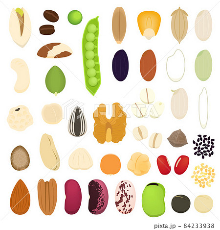 豆と種と穀物のイラストセット 84233938