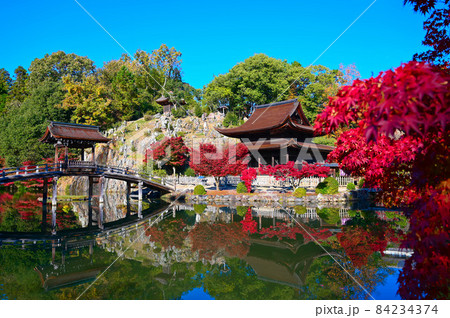 永保寺 永保寺庭園 無際橋と観音堂 多治見市 永保寺 永保寺庭園 無際橋と観音堂 多治見市 84234374