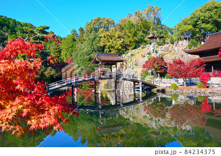 永保寺　永保寺庭園　無際橋　紅葉　多治見市 84234375
