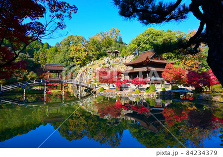 永保寺 永保寺庭園 無際橋と観音堂 多治見市 永保寺 永保寺庭園 無際橋と観音堂 多治見市 84234379
