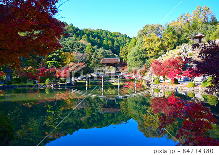 永保寺　永保寺庭園　無際橋　紅葉　多治見市 84234380