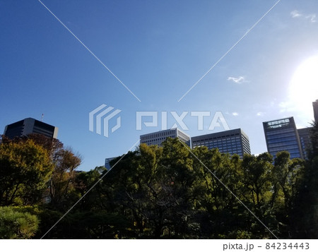 日比谷公園 紅葉 秋晴 日比谷公園 紅葉 秋晴 84234443