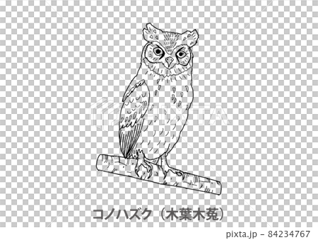 [Prefectural Bird] Konohazuku (Kobagi) Aichi Prefecture-Line drawing 84234767