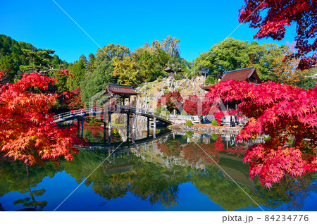 永保寺　永保寺庭園　無際橋　紅葉　多治見市 84234776