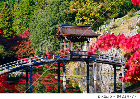 永保寺　永保寺庭園　無際橋　紅葉　多治見市 84234777
