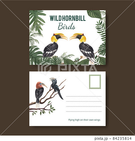 Postcard template with hornbill bird concept,watercolor style 84235814