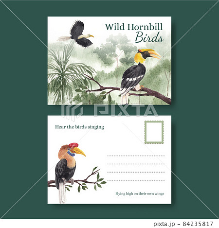 Postcard template with hornbill bird concept,watercolor style 84235817