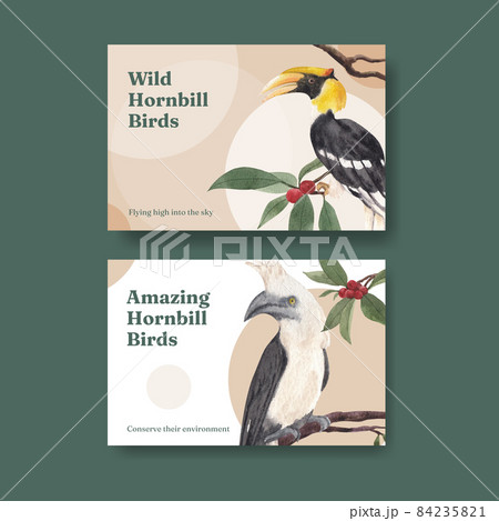 Facebook template with hornbill bird concept,watercolor style 84235821