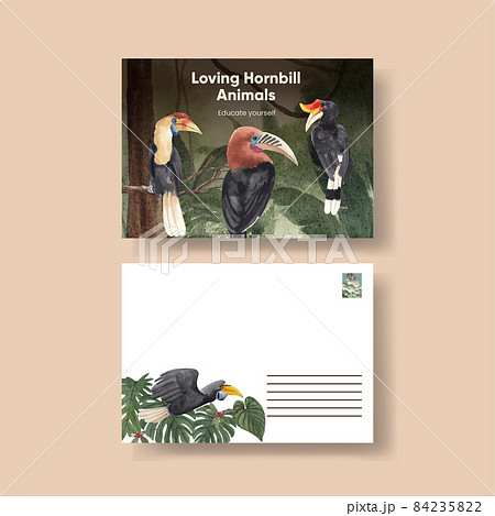 Postcard template with hornbill bird concept,watercolor style Postcard template with hornbill bird concept,watercolor style 84235822