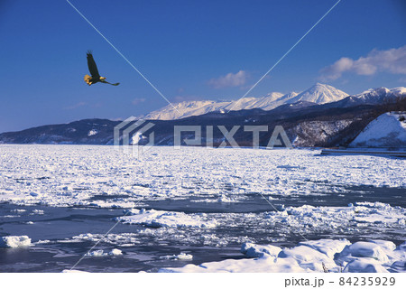オホーツク海の流氷・冬の風物詩 オホーツク海の流氷・冬の風物詩 84235929