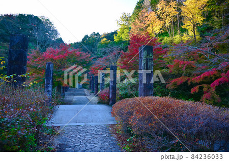 松平郷 あやめ恋路 紅葉 豊田市 松平郷 あやめ恋路 紅葉 豊田市 84236033