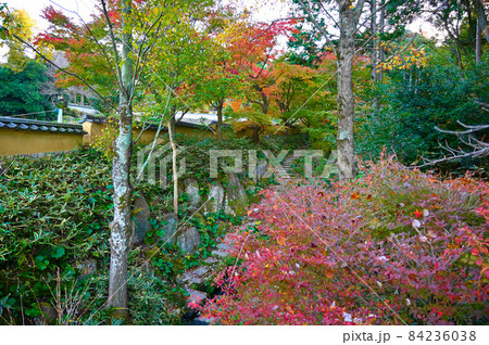 松平郷 あやめ恋路 紅葉 豊田市 松平郷 あやめ恋路 紅葉 豊田市 84236038