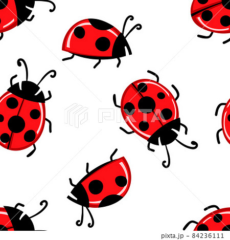 Fashion animal seamless pattern with colorful ladybird on white background. Cute holiday illustration with ladybags for baby. Design for invitation, poster, card, fabric, textile Fashion animal seamless pattern with colorful ladybird on white background. Cute holiday illustration with ladybags for baby. Design for invitation, poster, card, fabric, textile 84236111