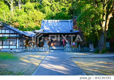 松平郷　松平東照宮　拝殿　豊田市 84236393