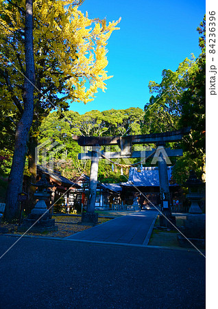 松平郷 松平東照宮 拝殿 豊田市 松平郷 松平東照宮 拝殿 豊田市 84236396