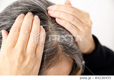 白髪のシニア 84236455