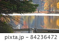 猫と湖と紅葉 84236472