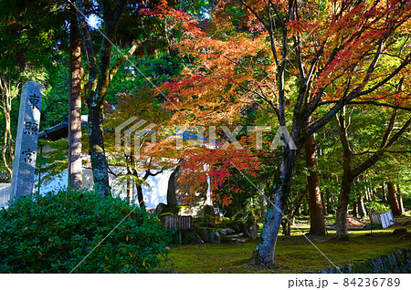 松平郷 松平東照宮 秋 豊田市 松平郷 松平東照宮 秋 豊田市 84236789