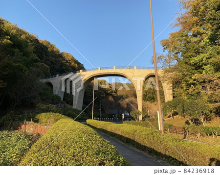 七沢森林公園 84236918