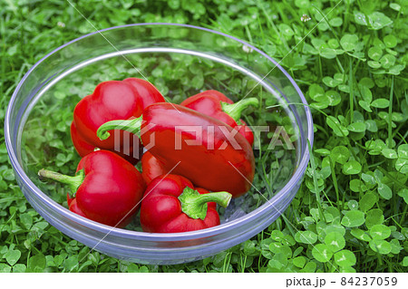 Sweet red peppers in a glass basket on green grass. Vegetables for vegans. The red sweet bell pepper, good for health. Sweet red peppers in a glass basket on green grass. Vegetables for vegans. The red sweet bell pepper, good for health. 84237059