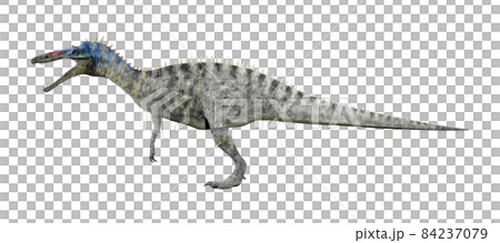 スコミムス☆Suchomimus 84237079