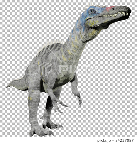 Suchomimus ☆ Suchomimus Suchomimus ☆ Suchomimus 84237087