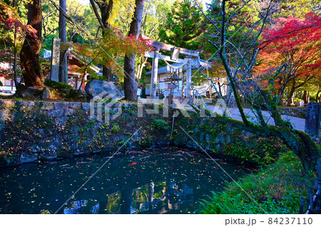 松平郷 松平東照宮 堀 豊田市 松平郷 松平東照宮 堀 豊田市 84237110