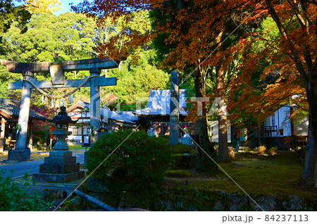 松平郷　松平東照宮　秋　愛知県豊田市 84237113