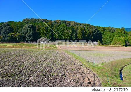 長篠合戦　設楽原　馬防柵　愛知県新城市 84237250