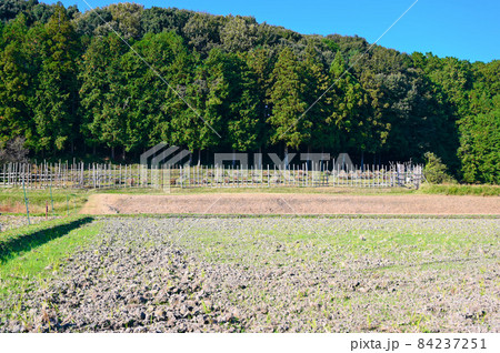 長篠合戦 設楽原 馬防柵 愛知県新城市 長篠合戦 設楽原 馬防柵 愛知県新城市 84237251
