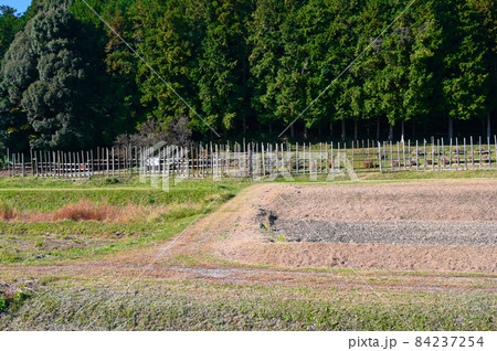長篠の合戦の激戦地　設楽原　馬防柵　新城市 84237254