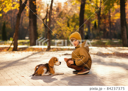 Little boy walk dog Little boy walk dog 84237375