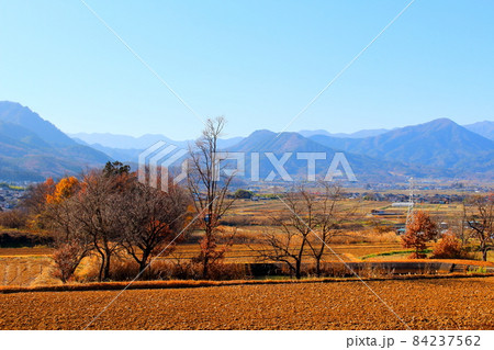 美しき信州の紅葉 その2111 美しき信州の紅葉 その2111 84237562